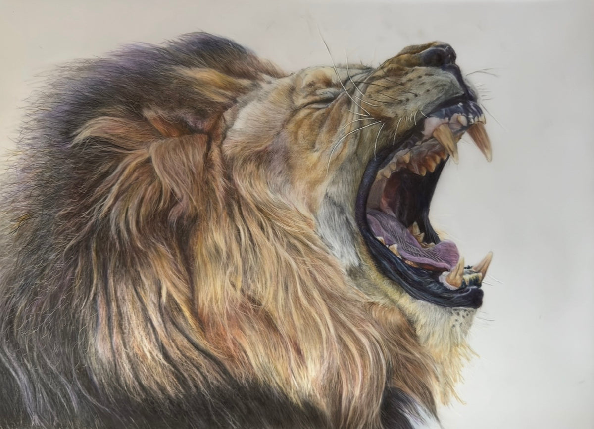 Yawning Glory