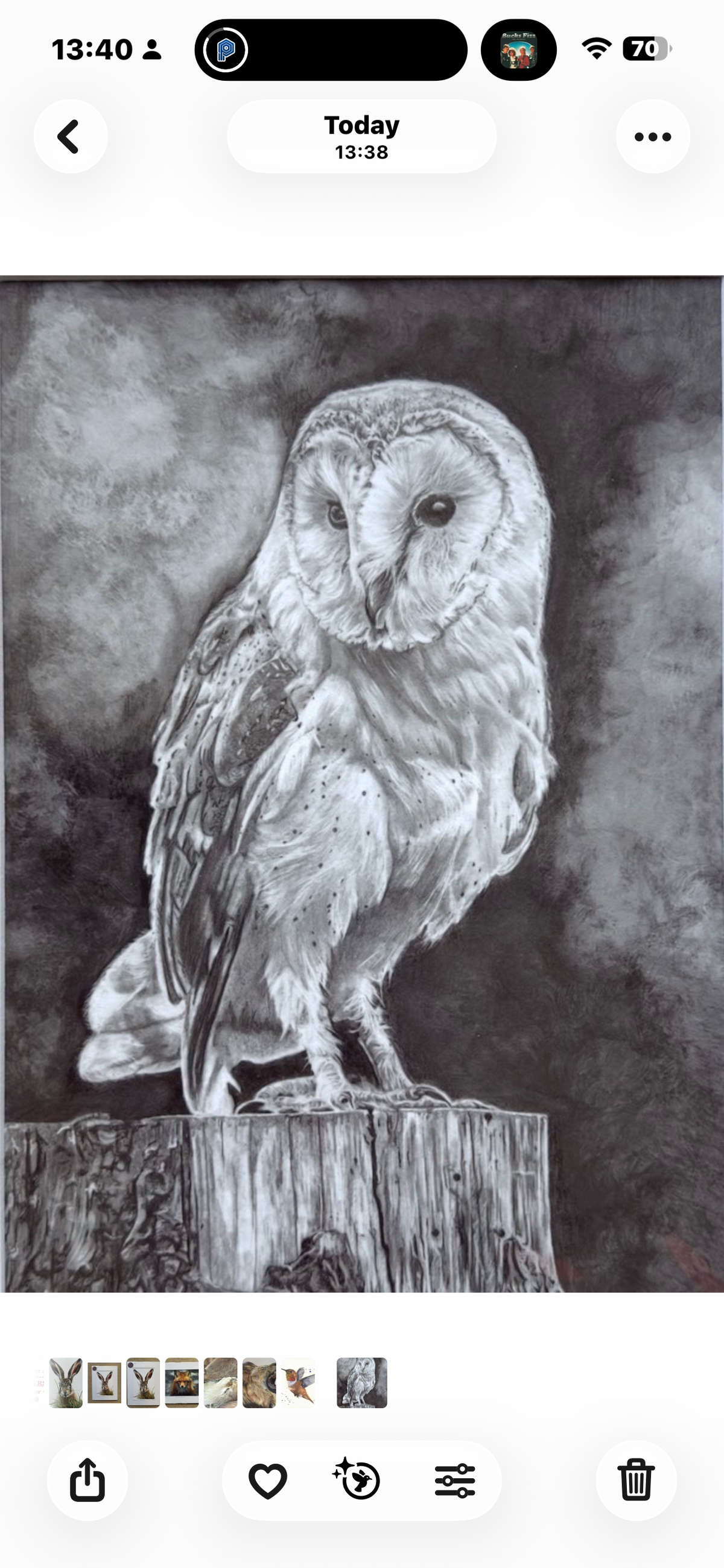 Night Owl
