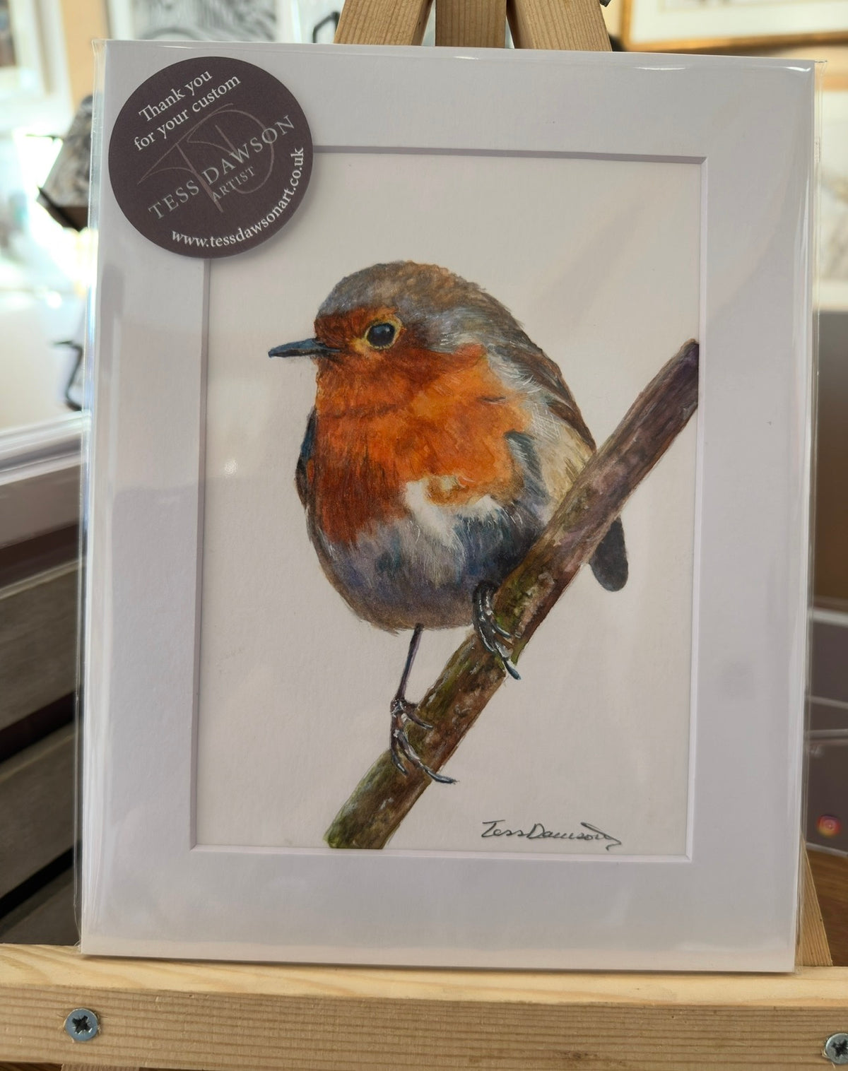 British Wildlife - The Robin II