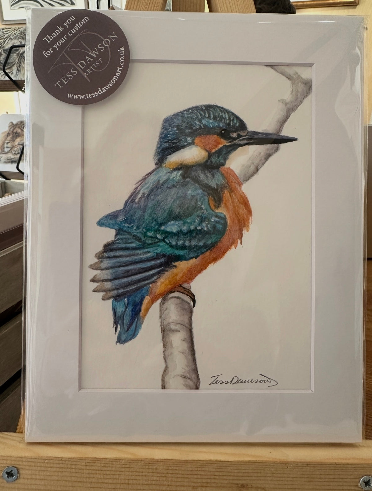British Wildlife - The Kingfisher