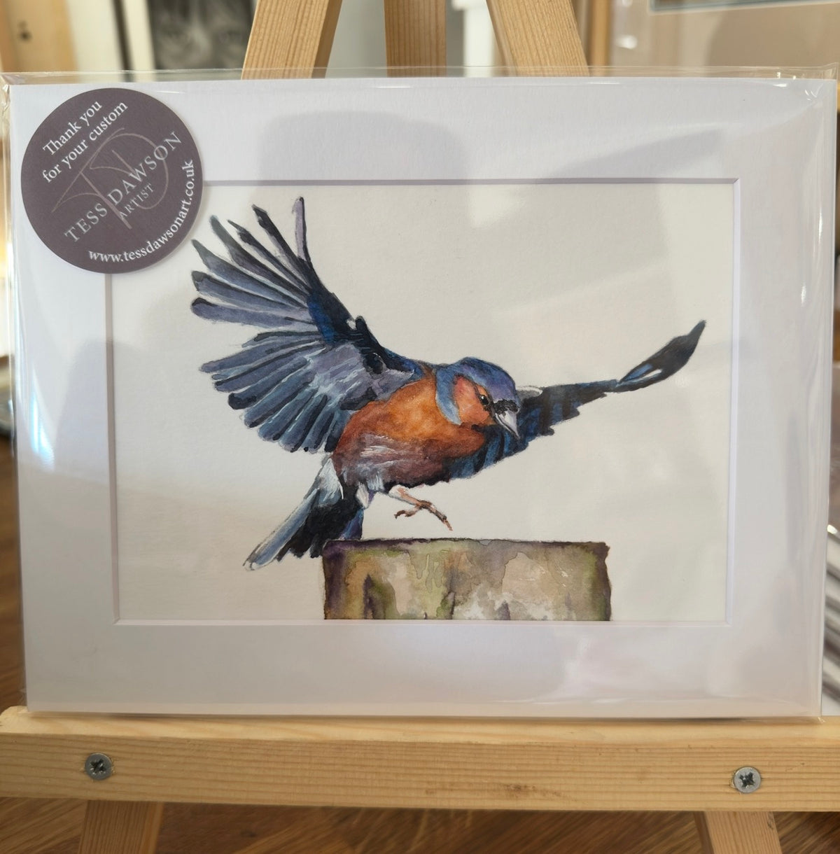 British Wildlife - The Chaffinch