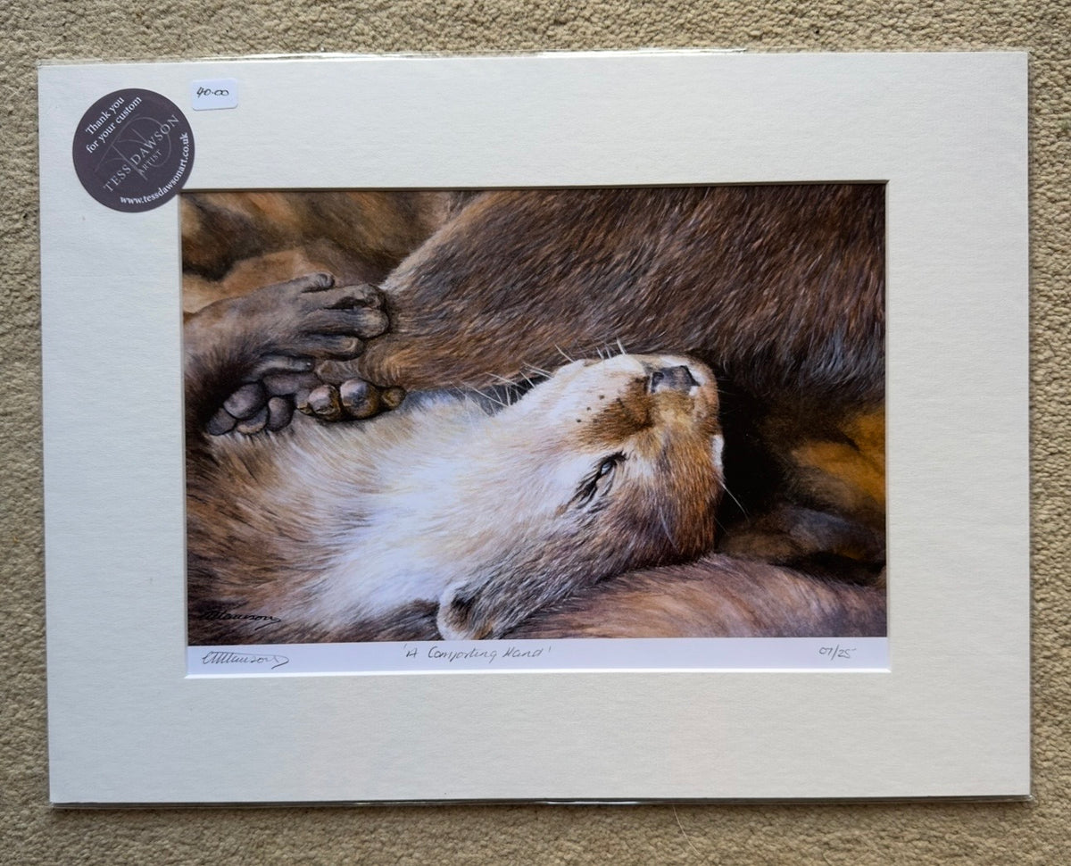 A Comforting Hand