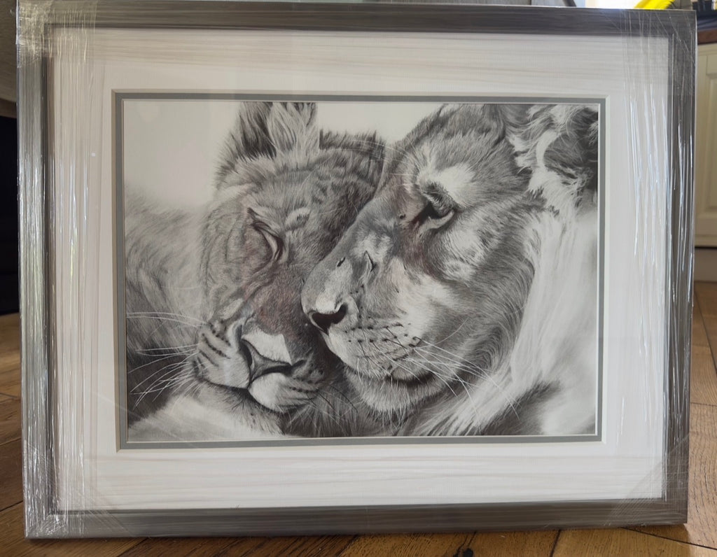 Wild Affection