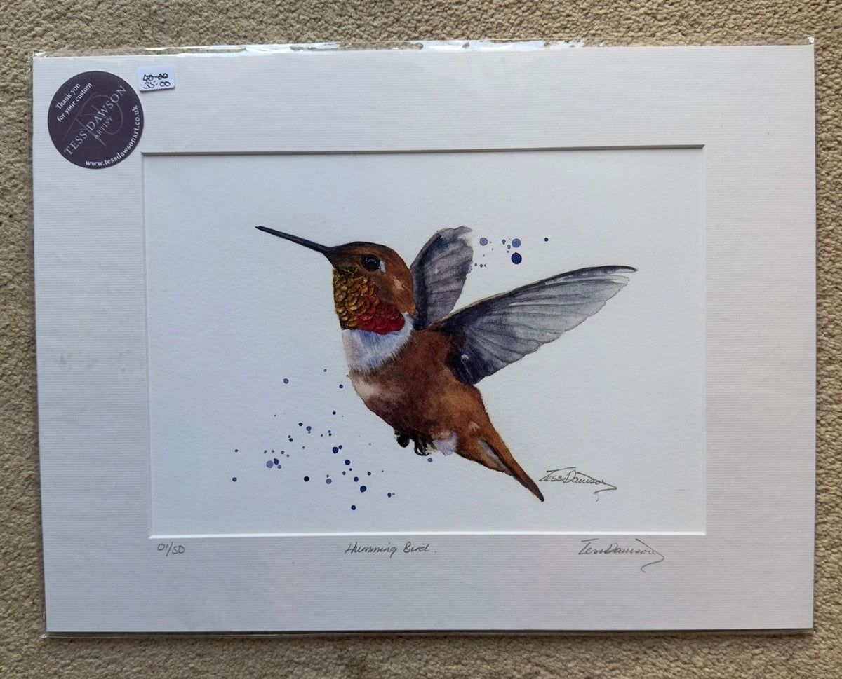 Hummingbird