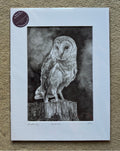 Night Owl