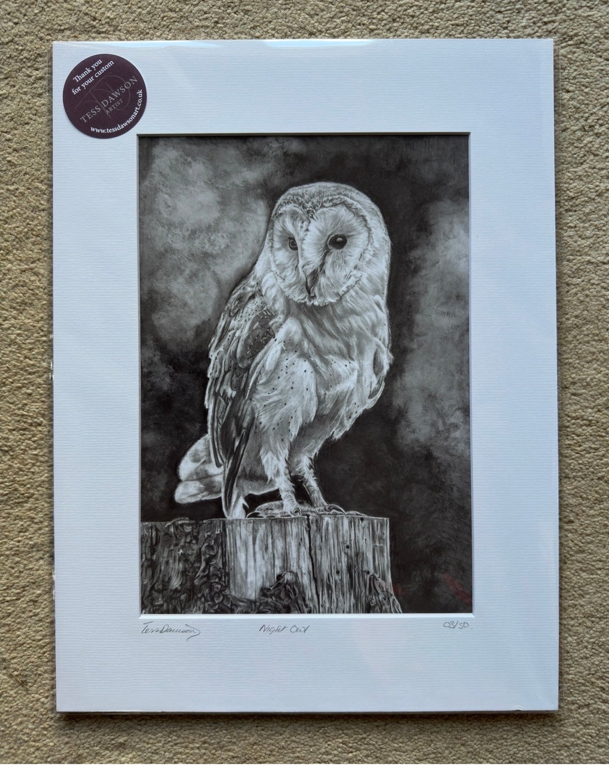 Night Owl