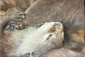 A Comforting Hand