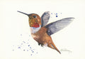 Hummingbird