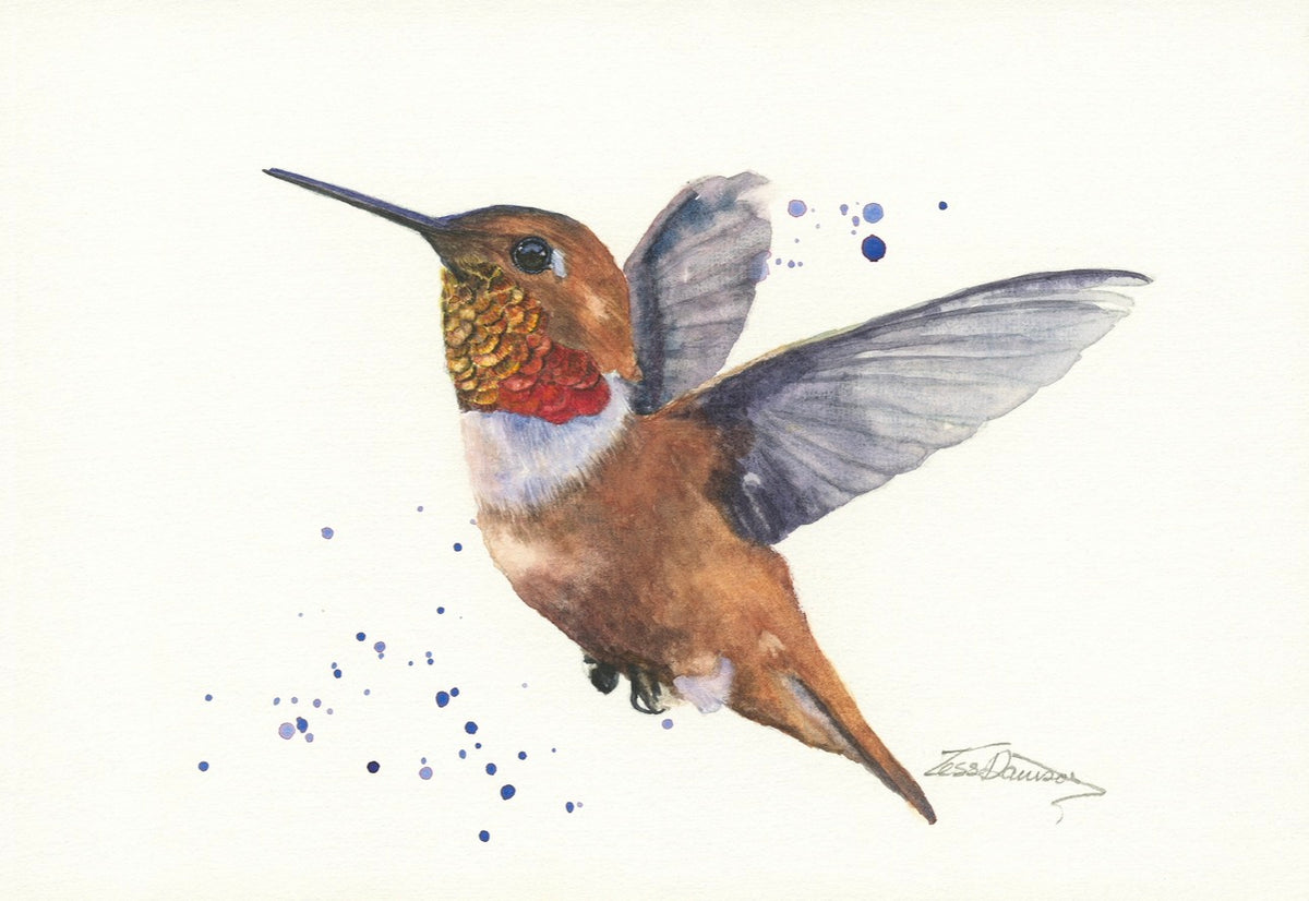 Hummingbird