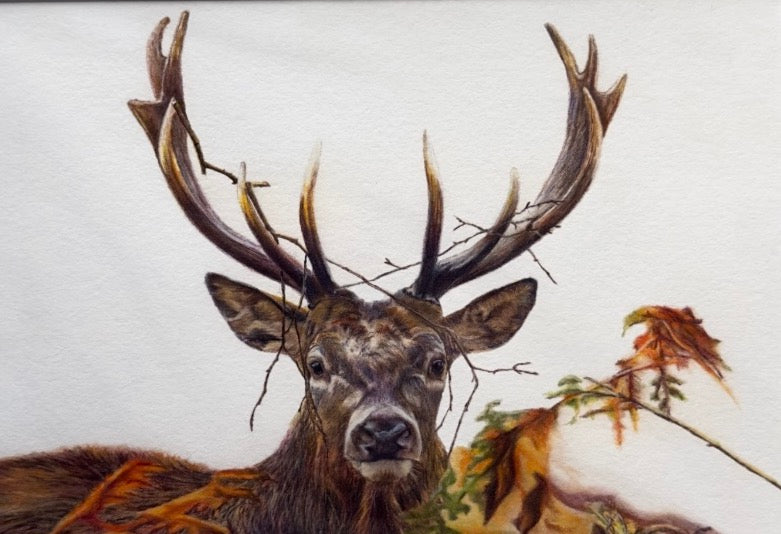 Camouflage