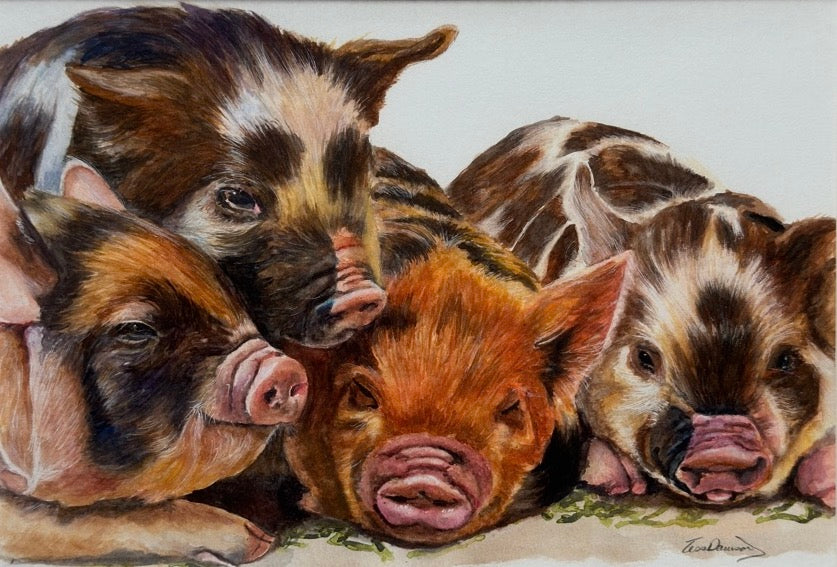 This Little Piggy