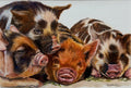 This Little Piggy