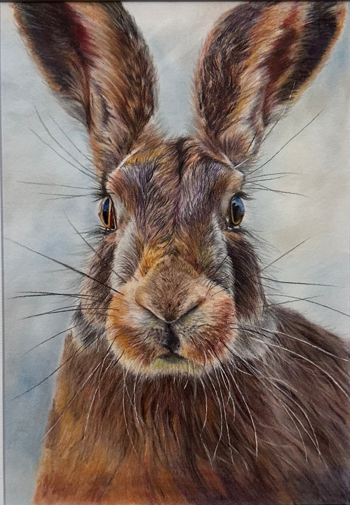 March Hare II