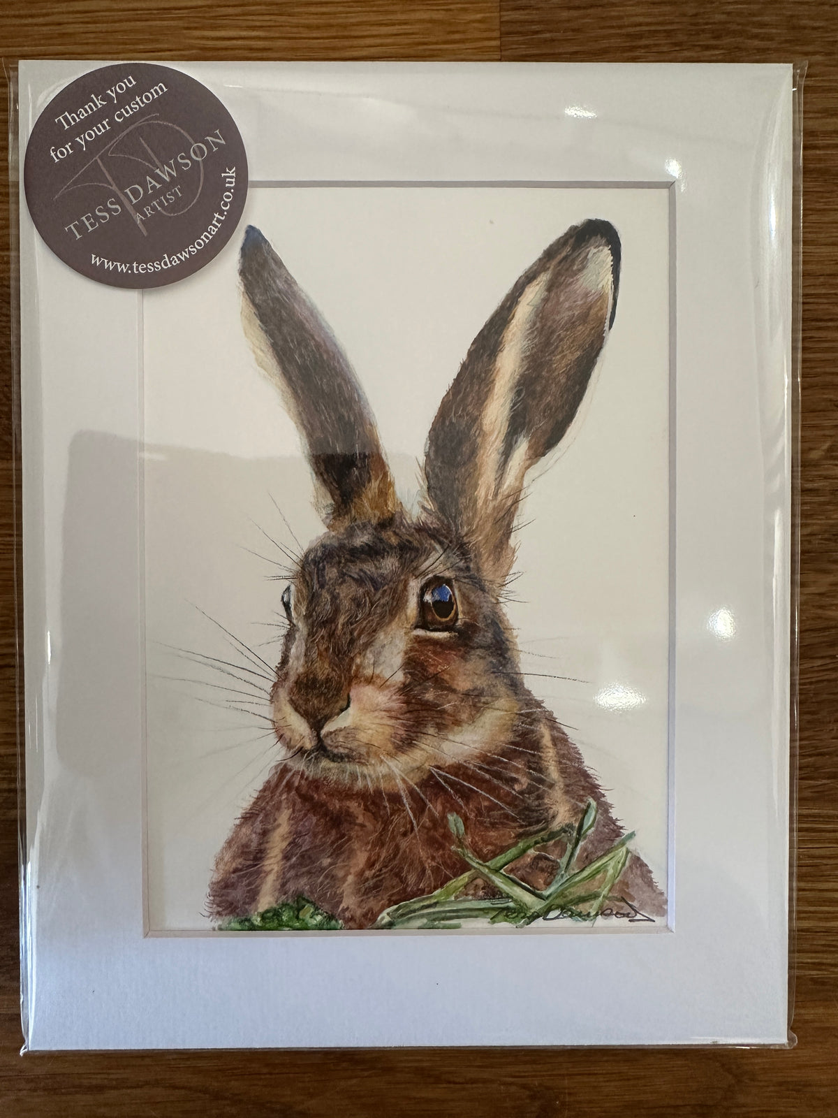 British Wildlife - March Hare