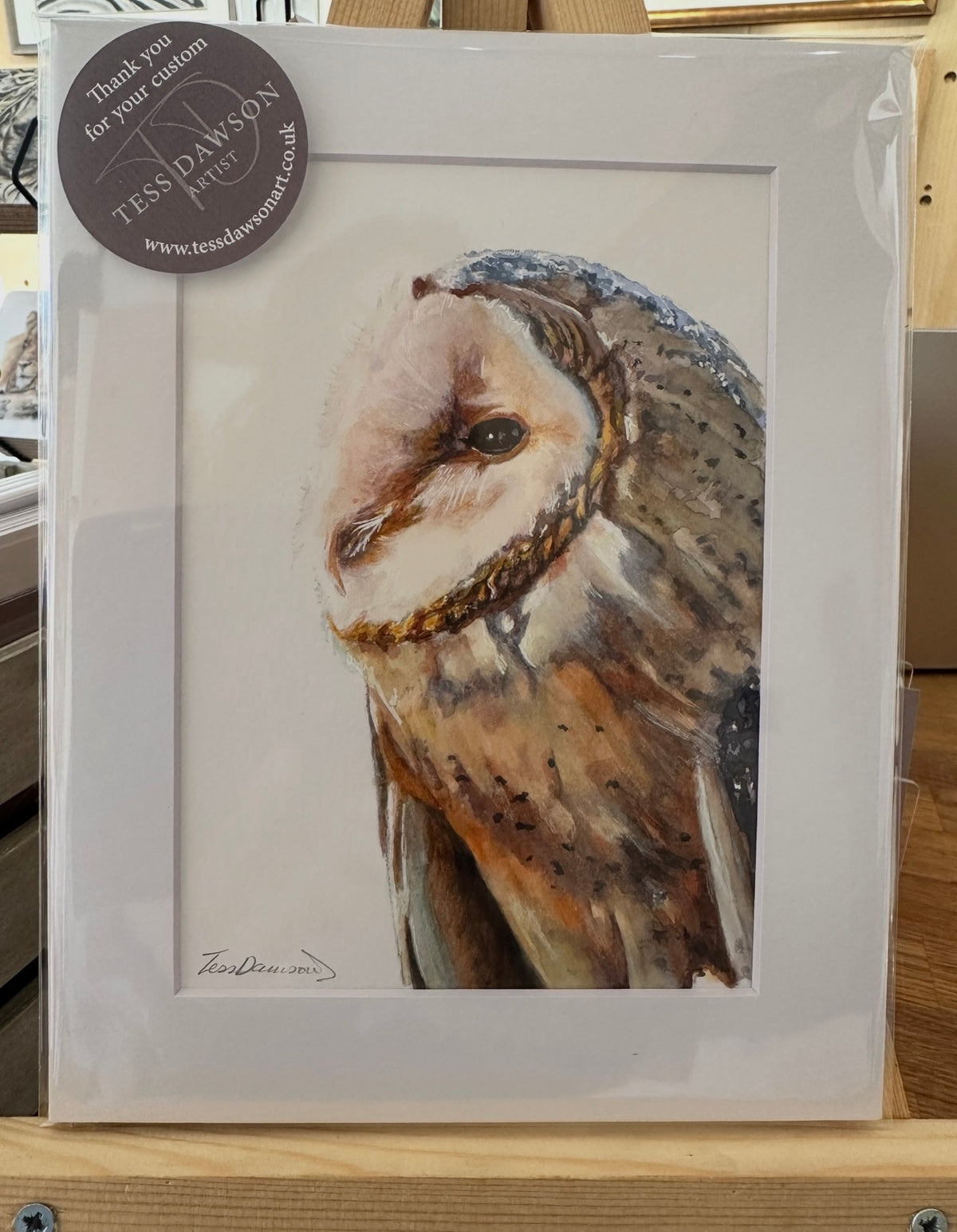 British Wildlife - The Barn Owl