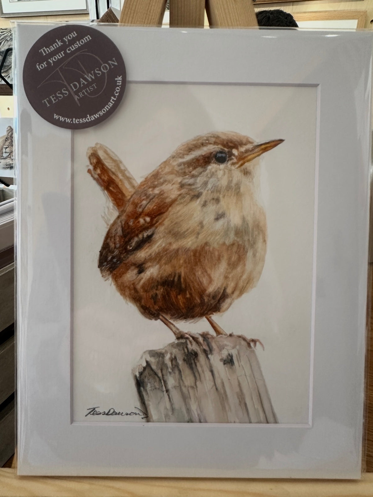 British Wildlife - The Wren