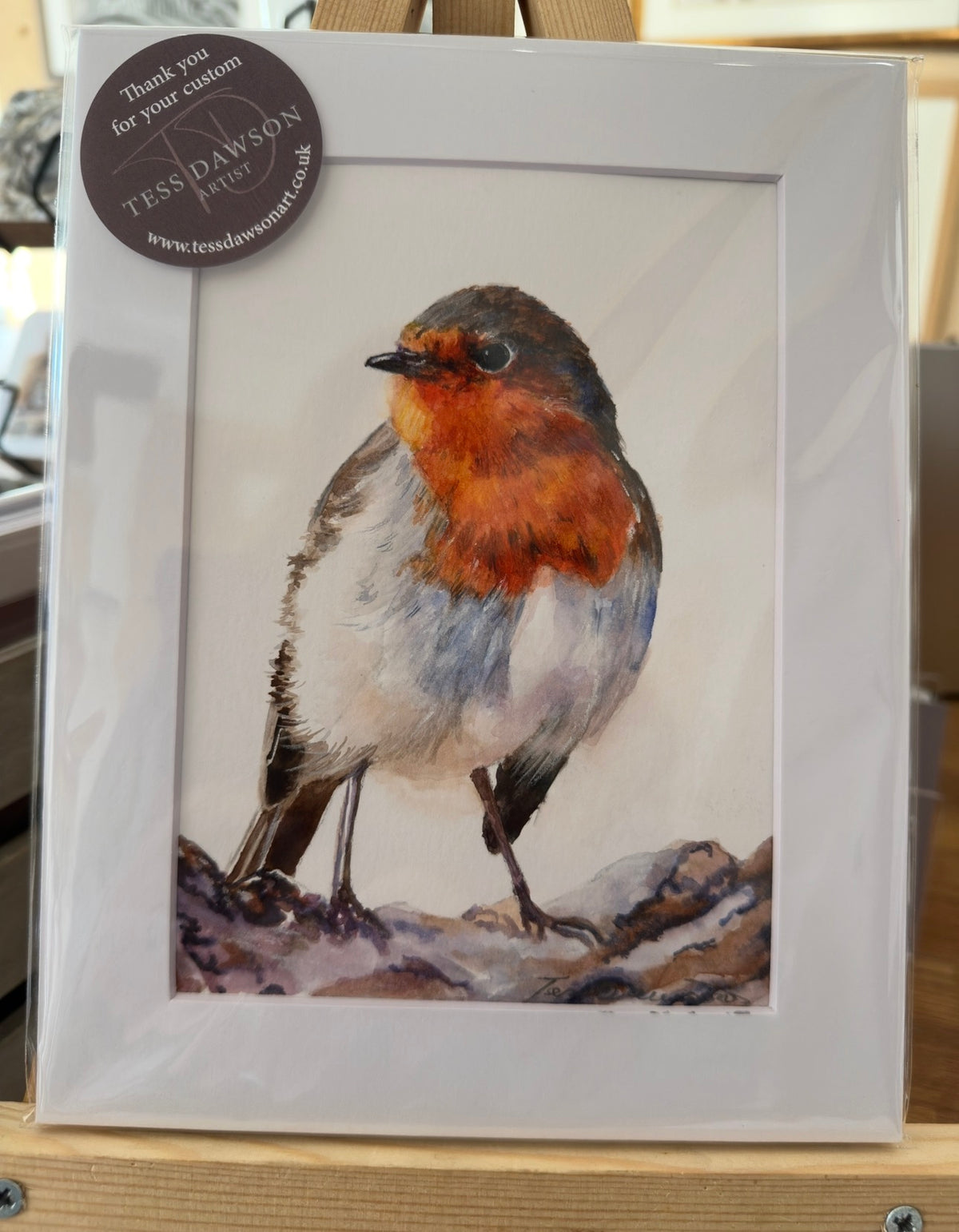 British Wildlife - The Humble Robin