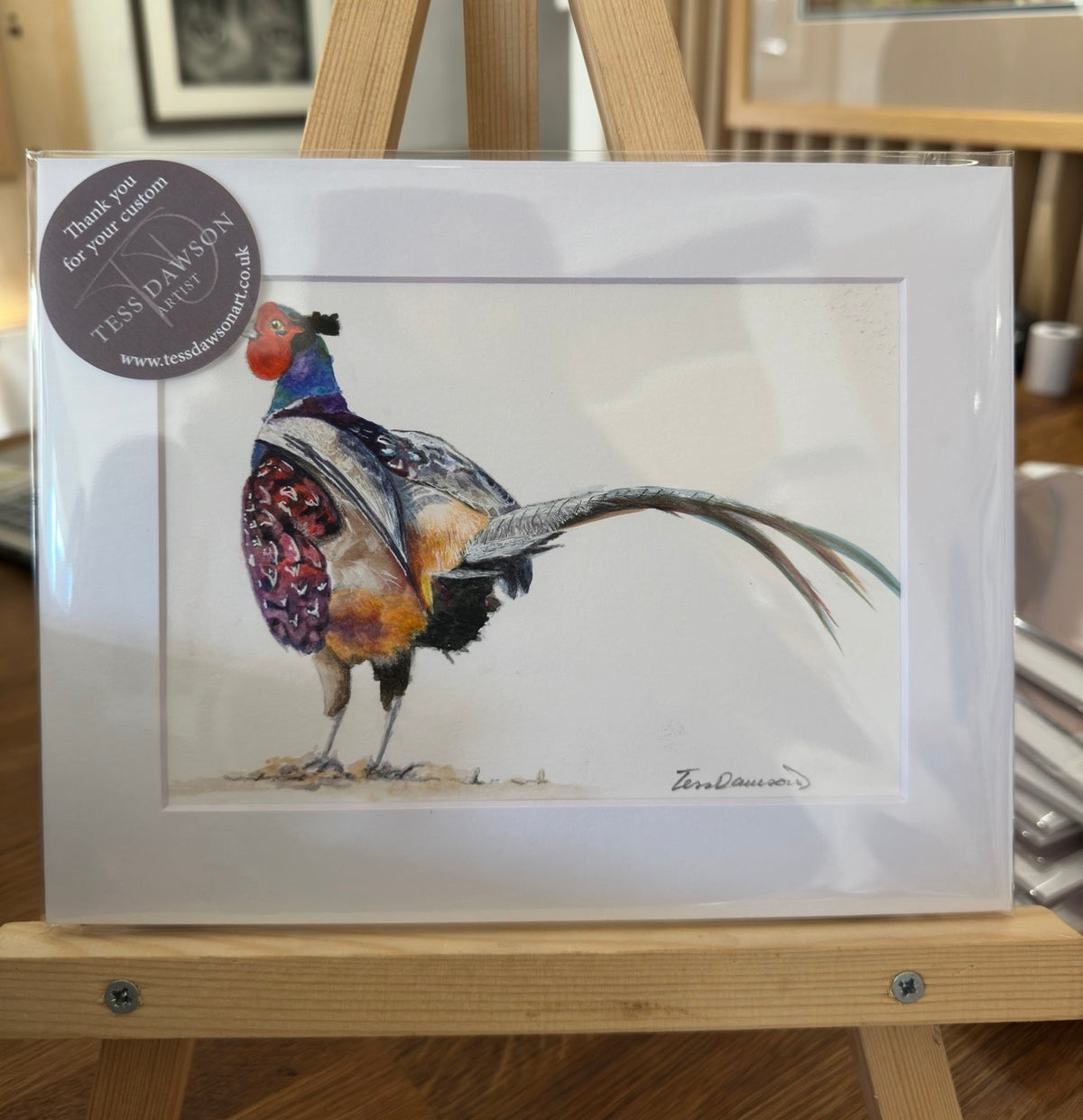 British Wildlife - The Pheasant