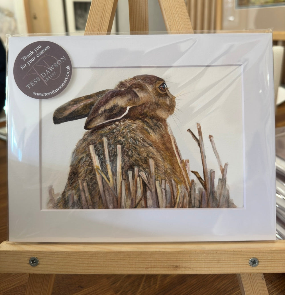 British Wildlife - March Hare II