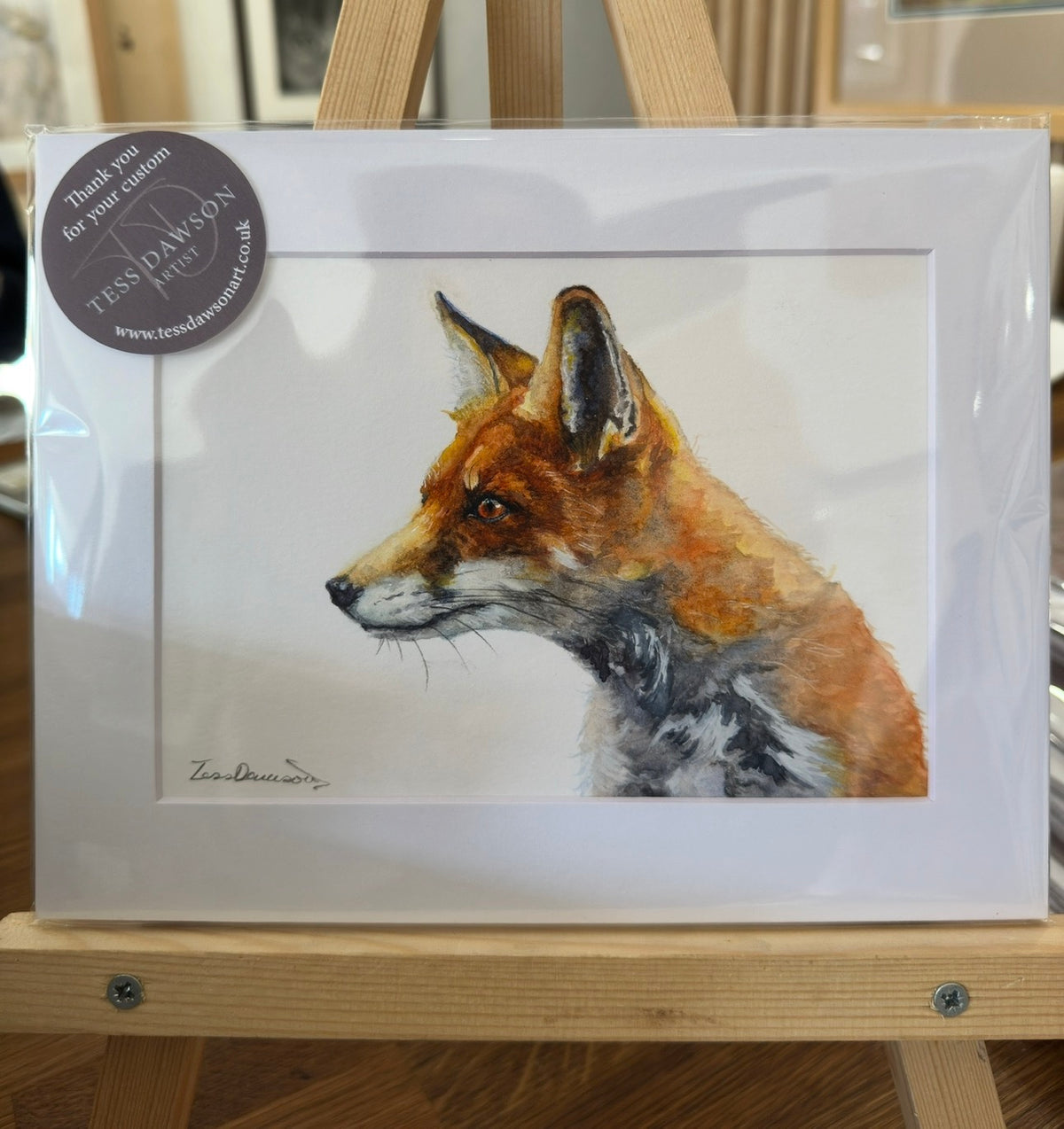 British Wildlife - The Fox
