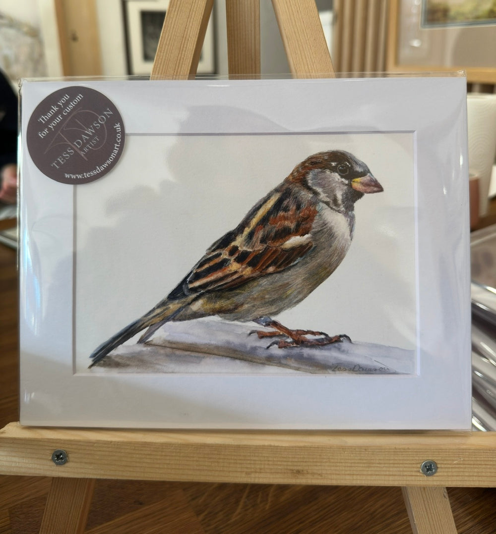 British Wildlife - The Sparrow