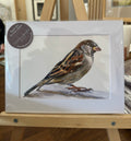 British Wildlife - The Sparrow