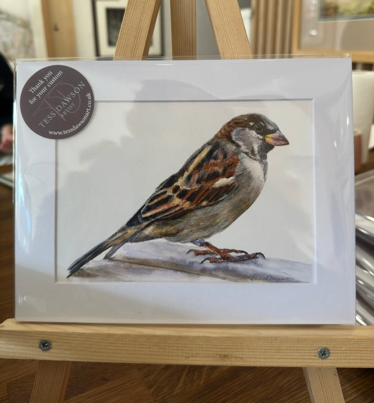 British Wildlife - The Sparrow