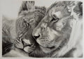 Wild Affection