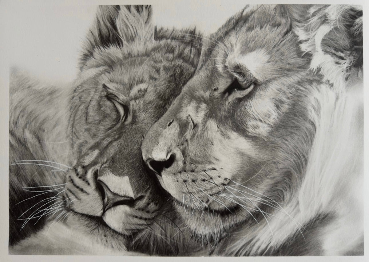 Wild Affection